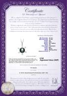Product certificate: UK-FW-B-AA-1213-P-Besty