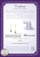 Product certificate: UK-FW-L-AAAA-67-E-Misha