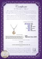 Product certificate: UK-FW-P-AA-910-P-Nancy