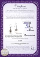 Product certificate: UK-FW-W-A-89-E-Teresa