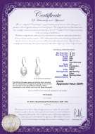 Product certificate: UK-FW-W-EDS-1516-Baroque-E