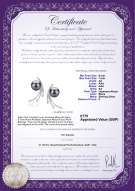 Product certificate: UK-JAK-B-AA-67-E-Rosie