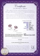Product certificate: UK-P-AA-910-E-SS-OLAV