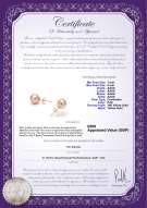 Product certificate: UK-P-AAAA-78-E