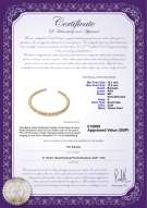 Product certificate: UK-SSEA-G-N-C311