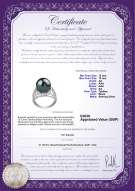 Product certificate: UK-TAH-B-AA-1213-R-Alva