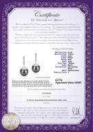 Product certificate: UK-TAH-B-AAA-910-E-Janet